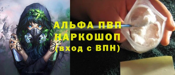 a pvp Алзамай