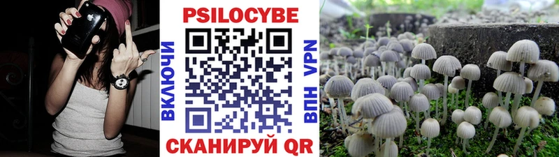Псилоцибиновые грибы Magic Shrooms продажа наркотиков Удачный